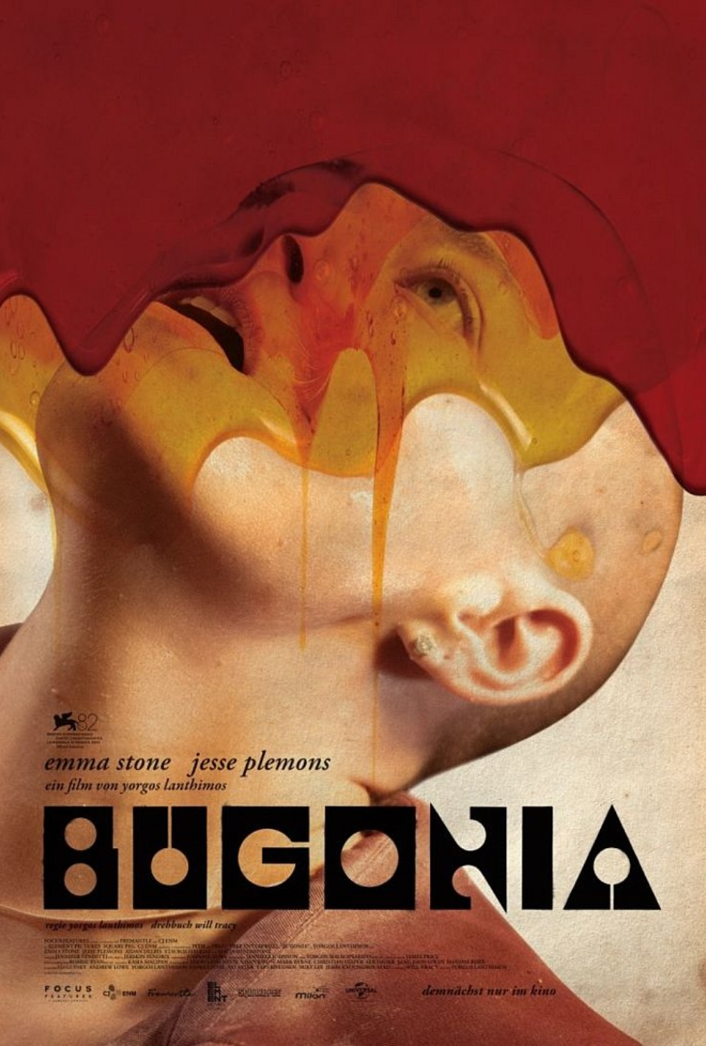 Tillit IPTV - Bogonia